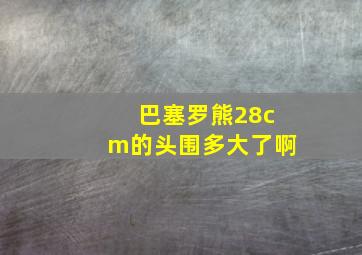 巴塞罗熊28cm的头围多大了啊