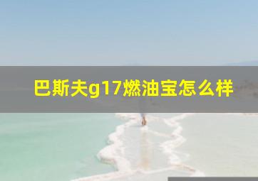 巴斯夫g17燃油宝怎么样