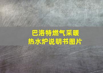 巴洛特燃气采暖热水炉说明书图片