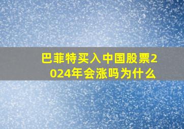 巴菲特买入中国股票2024年会涨吗为什么