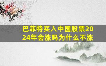 巴菲特买入中国股票2024年会涨吗为什么不涨