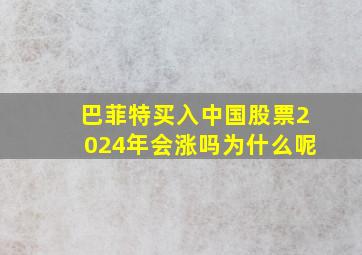 巴菲特买入中国股票2024年会涨吗为什么呢