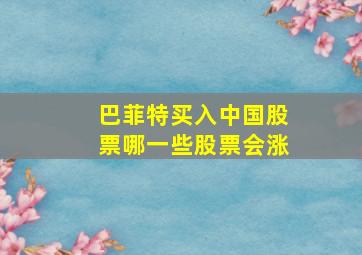 巴菲特买入中国股票哪一些股票会涨