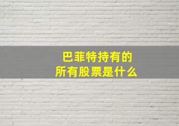 巴菲特持有的所有股票是什么