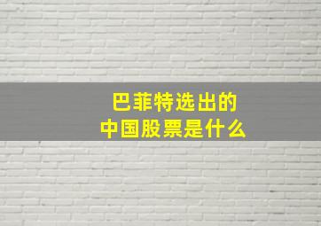 巴菲特选出的中国股票是什么