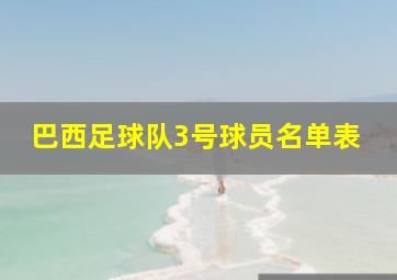 巴西足球队3号球员名单表