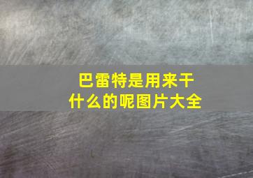 巴雷特是用来干什么的呢图片大全