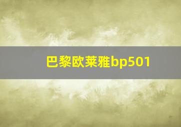 巴黎欧莱雅bp501