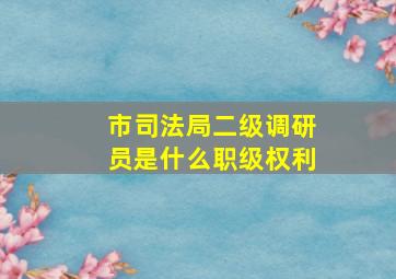 市司法局二级调研员是什么职级权利