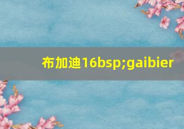 布加迪16bsp;gaibier