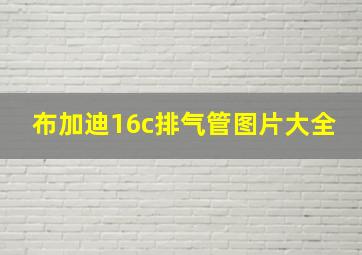 布加迪16c排气管图片大全