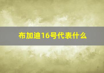 布加迪16号代表什么