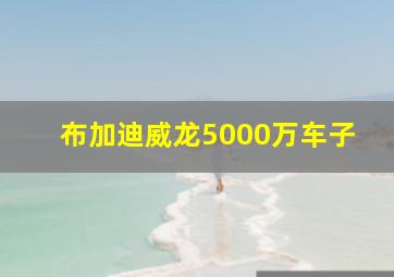 布加迪威龙5000万车子