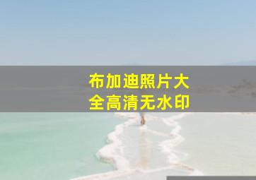 布加迪照片大全高清无水印