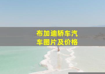 布加迪轿车汽车图片及价格