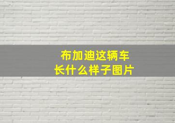 布加迪这辆车长什么样子图片