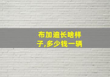 布加迪长啥样子,多少钱一辆