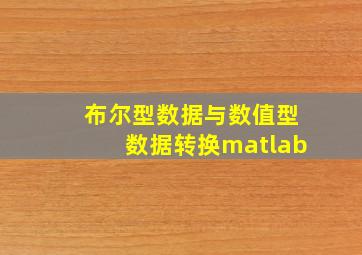 布尔型数据与数值型数据转换matlab