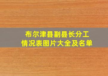 布尔津县副县长分工情况表图片大全及名单