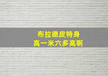 布拉德皮特身高一米六多高啊