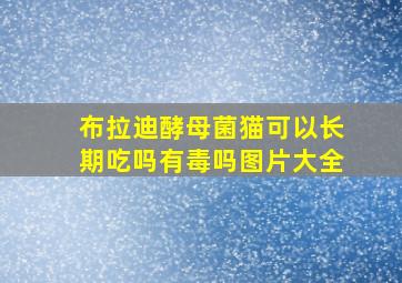 布拉迪酵母菌猫可以长期吃吗有毒吗图片大全