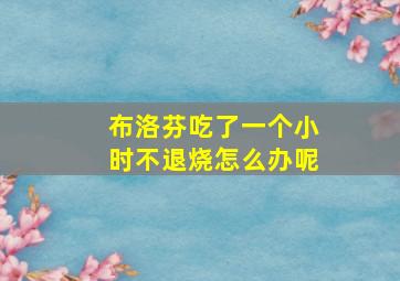 布洛芬吃了一个小时不退烧怎么办呢