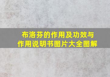 布洛芬的作用及功效与作用说明书图片大全图解