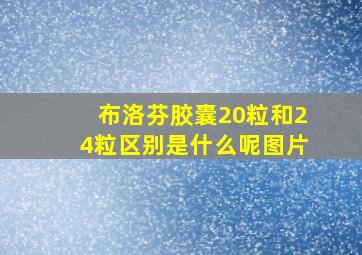 布洛芬胶囊20粒和24粒区别是什么呢图片