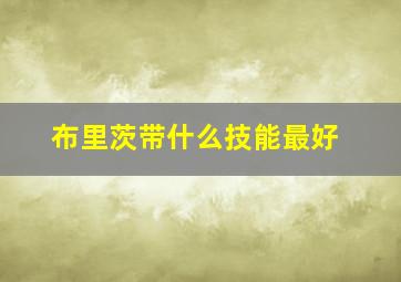 布里茨带什么技能最好