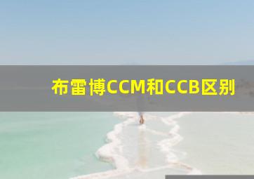 布雷博CCM和CCB区别