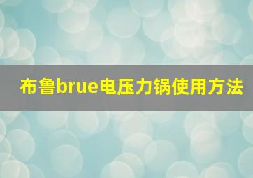 布鲁brue电压力锅使用方法