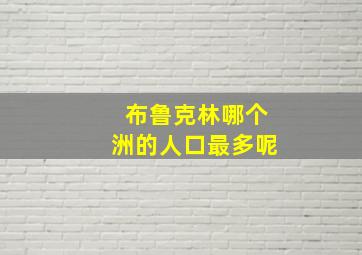 布鲁克林哪个洲的人口最多呢