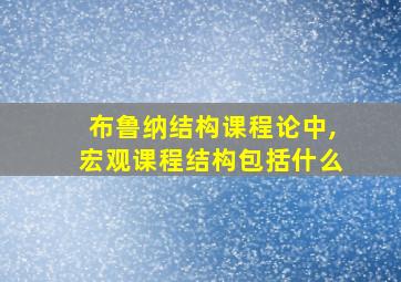 布鲁纳结构课程论中,宏观课程结构包括什么