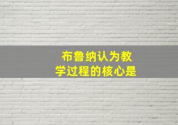 布鲁纳认为教学过程的核心是