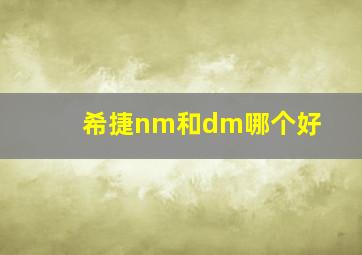 希捷nm和dm哪个好