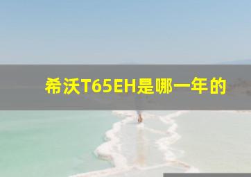 希沃T65EH是哪一年的