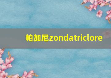 帕加尼zondatriclore