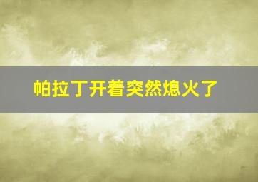 帕拉丁开着突然熄火了