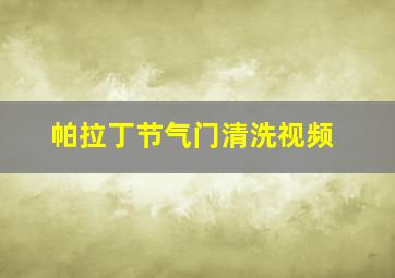 帕拉丁节气门清洗视频