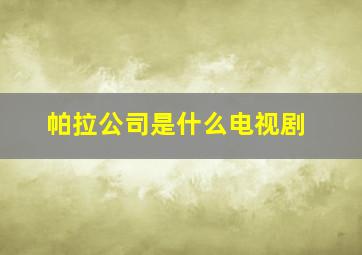 帕拉公司是什么电视剧