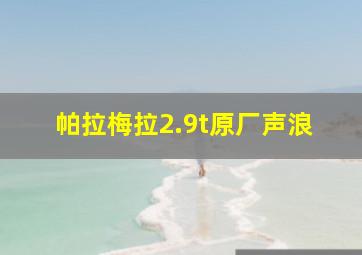 帕拉梅拉2.9t原厂声浪