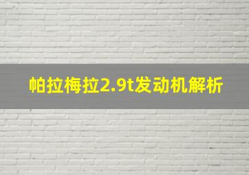 帕拉梅拉2.9t发动机解析