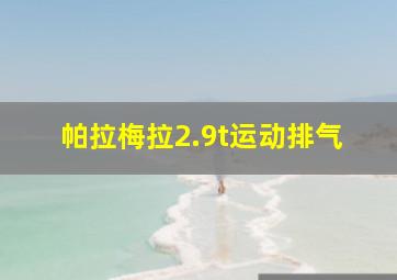 帕拉梅拉2.9t运动排气