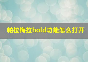 帕拉梅拉hold功能怎么打开