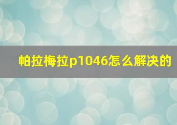 帕拉梅拉p1046怎么解决的