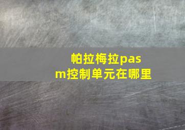 帕拉梅拉pasm控制单元在哪里