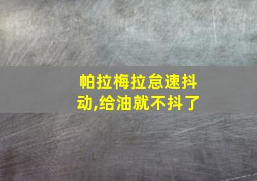 帕拉梅拉怠速抖动,给油就不抖了