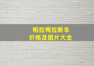 帕拉梅拉新车价格及图片大全