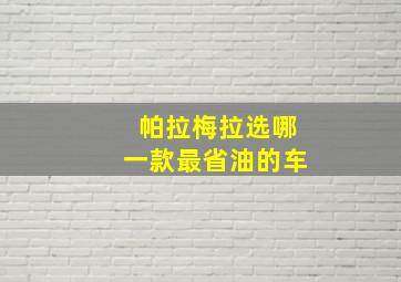 帕拉梅拉选哪一款最省油的车