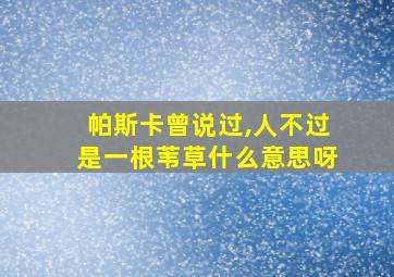 帕斯卡曾说过,人不过是一根苇草什么意思呀